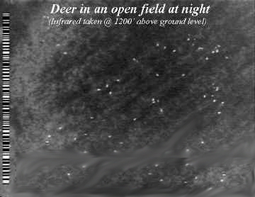 Infrared Deer Count
