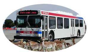 Bus deer from the city to the game lands