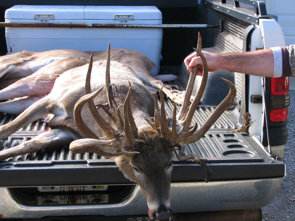 breaking-giant-kansas-buck-killed-on-road-big-deer